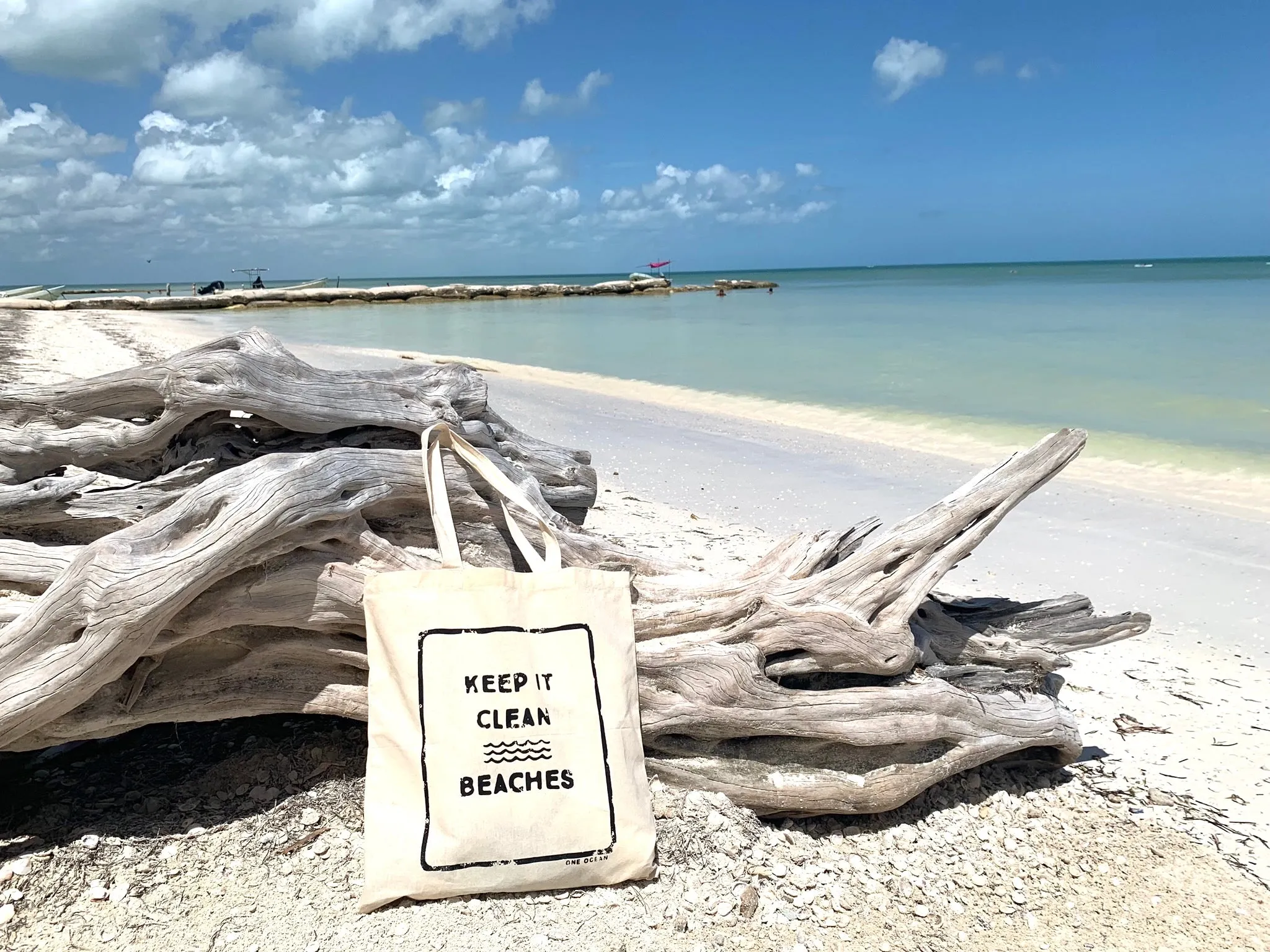 Keep it Clean Beaches Cotton Canvas Tote