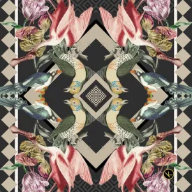 Nikolas Kohl Feathered Finery Charcoal NK148-3 90CM